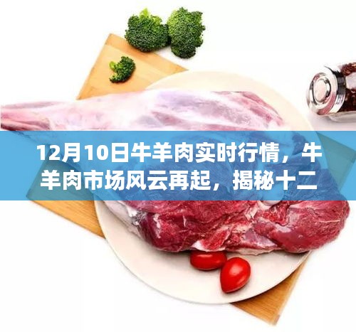 揭秘12月10日牛羊肉市场风云，实时行情背后的故事