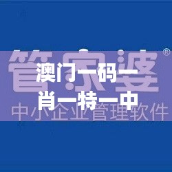 澳门一码一肖一特一中管家婆,创新执行计划_旗舰款9.892
