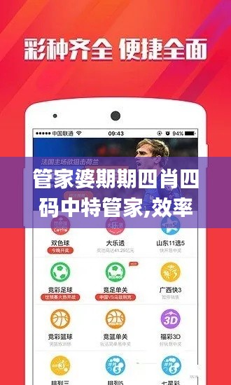 管家婆期期四肖四码中特管家,效率资料解释定义_XP14.394