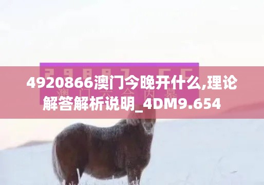 4920866澳门今晚开什么,理论解答解析说明_4DM9.654