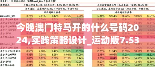 今晚澳门特马开的什么号码2024,实践策略设计_运动版7.533