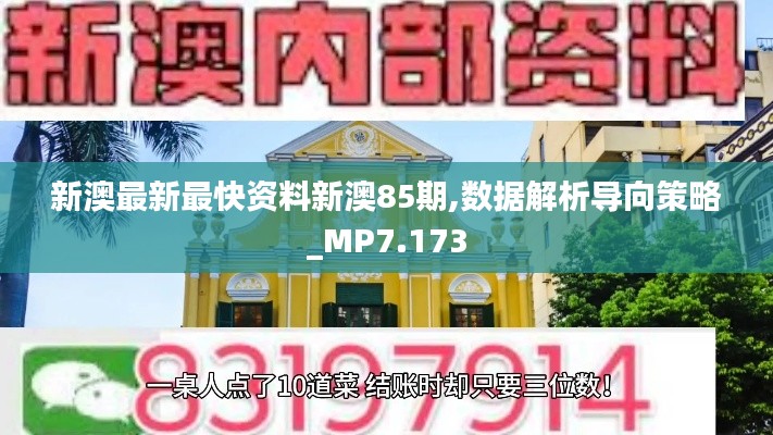 新澳最新最快资料新澳85期,数据解析导向策略_MP7.173
