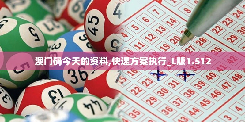 澳门码今天的资料,快速方案执行_L版1.512