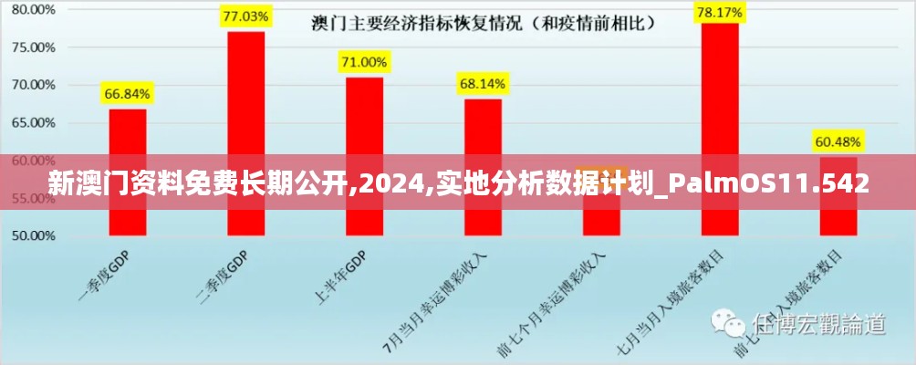 新澳门资料免费长期公开,2024,实地分析数据计划_PalmOS11.542
