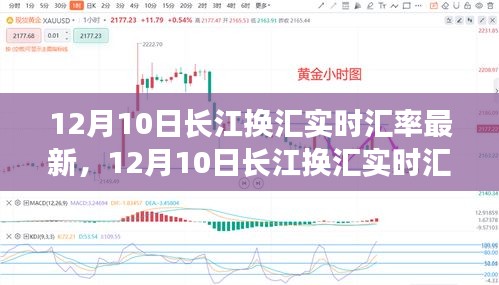 深度解析，12月10日长江换汇实时汇率最新动态及观点阐述