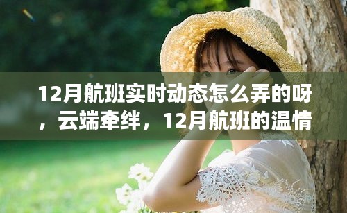 云端牵绊下的温情轨迹，揭秘12月航班实时动态与温情轨迹