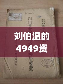 刘伯温的4949资料,快速响应方案落实_7DM7.817
