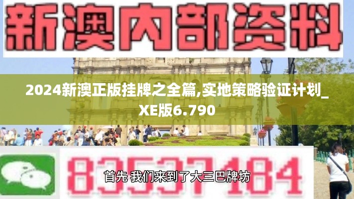 2024新澳正版挂牌之全篇,实地策略验证计划_XE版6.790