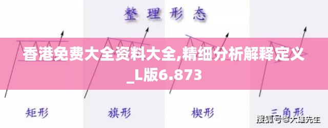 香港免费大全资料大全,精细分析解释定义_L版6.873