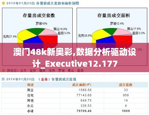 澳门48k新奥彩,数据分析驱动设计_Executive12.177
