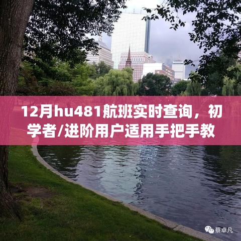 手把手教你查询12月hu481航班实时动态，适合初学者与进阶用户指南