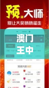 澳门王中王100%正确答案最新章节,数据解析支持方案_pack7.652