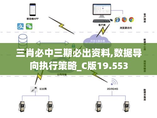 三肖必中三期必出资料,数据导向执行策略_C版19.553