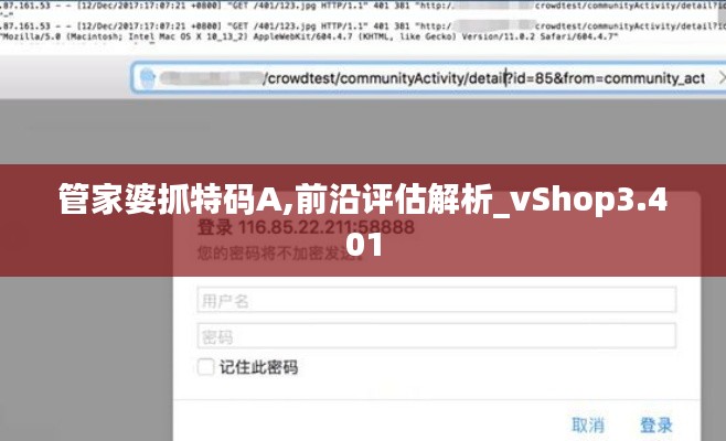 管家婆抓特码A,前沿评估解析_vShop3.401