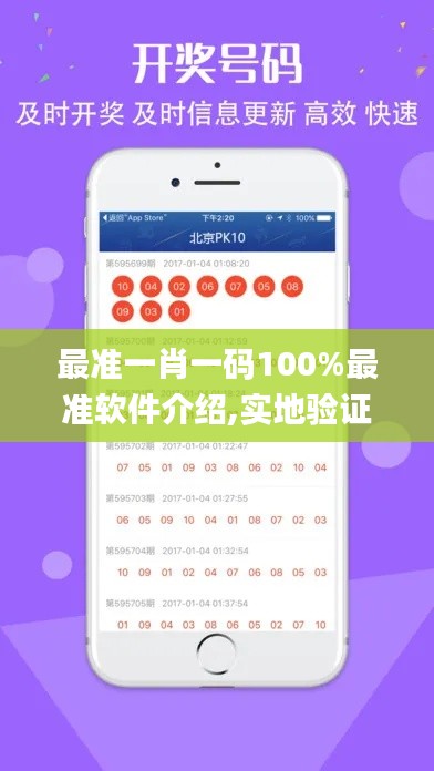 最准一肖一码100%最准软件介绍,实地验证策略_专属款2.152