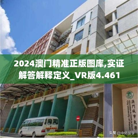 2024澳门精准正版图库,实证解答解释定义_VR版4.461