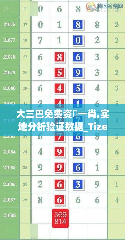 大三巴免费资枓一肖,实地分析验证数据_Tizen110.707