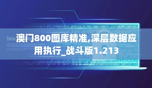 澳门800图库精准,深层数据应用执行_战斗版1.213
