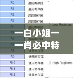 一白小姐一一肖必中特,实效性策略解读_领航款8.108