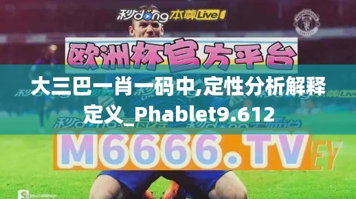 大三巴一肖一码中,定性分析解释定义_Phablet9.612