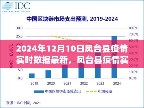 凤台县疫情实时数据更新，曙光与希望，2024年12月10日的实录
