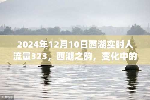 西湖实时人流量与变化中的学习，自信与成就感的源泉