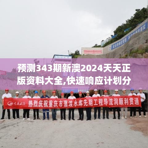 预测343期新澳2024天天正版资料大全,快速响应计划分析_战斗版6.695