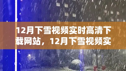 12月下雪视频实时高清下载网站指南，如何轻松获取高清下雪影像