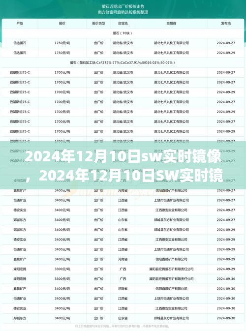 数字时代里程碑事件，2024年12月10日SW实时镜像