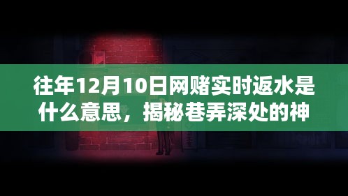 揭秘往年网赌背后的秘密，实时返水真相与巷弄深处的神秘小铺（违法犯罪警示）