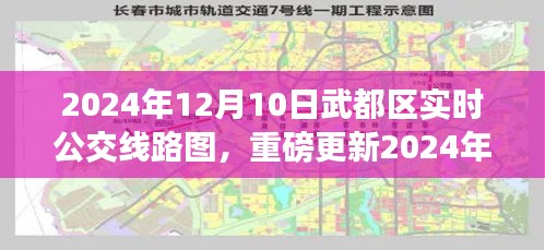 2024年武都区实时公交线路图更新，掌握最新动态，出行必备指南