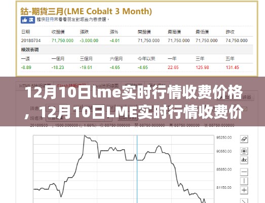 12月10日LME实时行情收费价格详解，查询与解读步骤指南（适合初学者与进阶用户）