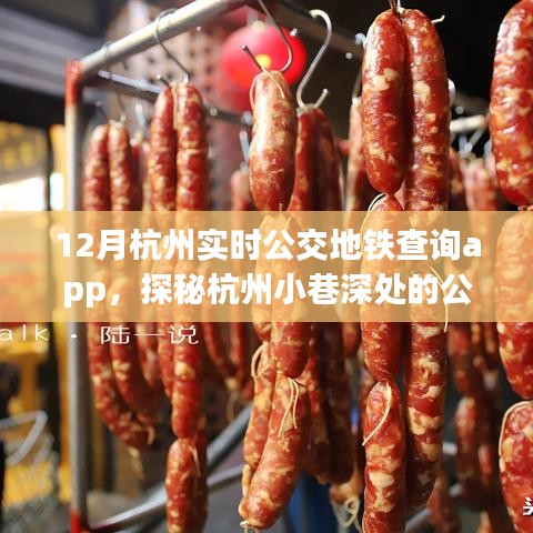 探秘杭州公交地铁查询宝藏，实时应用与小巷深处的特色小店，遇见一家公交APP中的惊喜体验