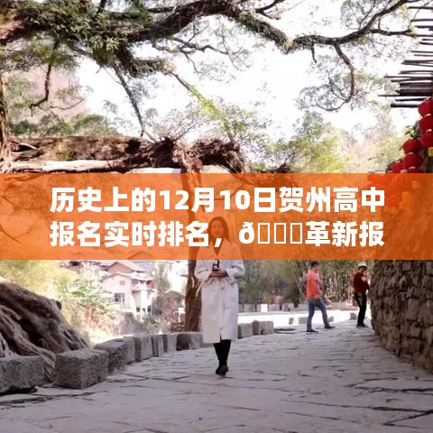 历史上的报名盛况，贺州高中报名实时排名革新体验