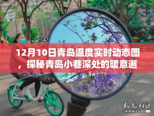 探秘青岛小巷深处的暖意邂逅，实时温度动态图揭秘青岛冬日温情