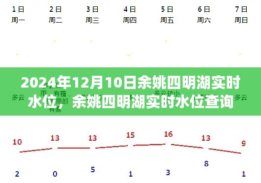 余姚四明湖实时水位查询指南，从初学者到进阶用户的全方位指南（2024年12月10日更新）