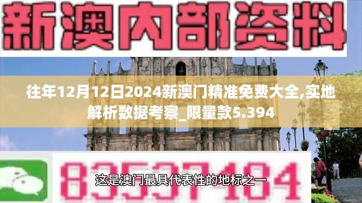 往年12月12日2024新澳门精准免费大全,实地解析数据考察_限量款5.394