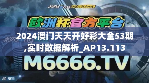 2024澳门天天开好彩大全53期,实时数据解析_AP13.113