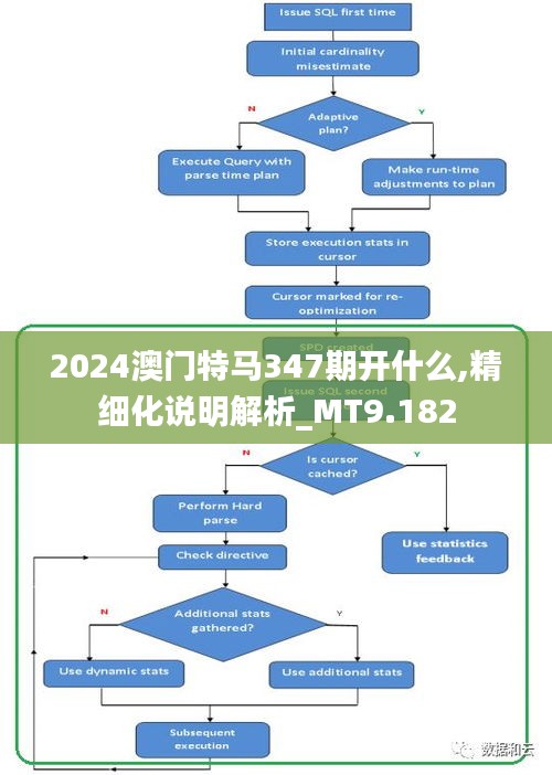 2024澳门特马347期开什么,精细化说明解析_MT9.182