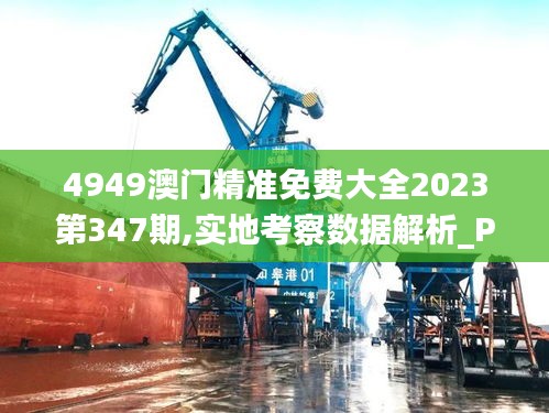 4949澳门精准免费大全2023第347期,实地考察数据解析_Plus8.930