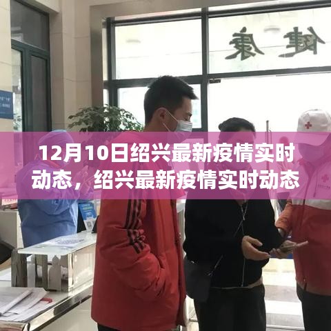 绍兴最新疫情实时动态报告解读与用户体验分析（XXXX年12月版）
