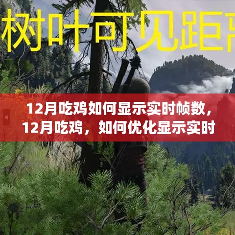 优化吃鸡游戏实时帧数显示，提升游戏体验的秘诀