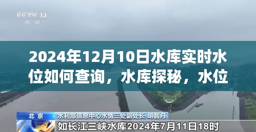 水库探秘，水位背后的温情故事与实时水位查询指南（2024年12月10日）