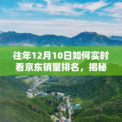 揭秘往年京东销量巅峰，实时查看神器助你洞悉科技销售排名动态
