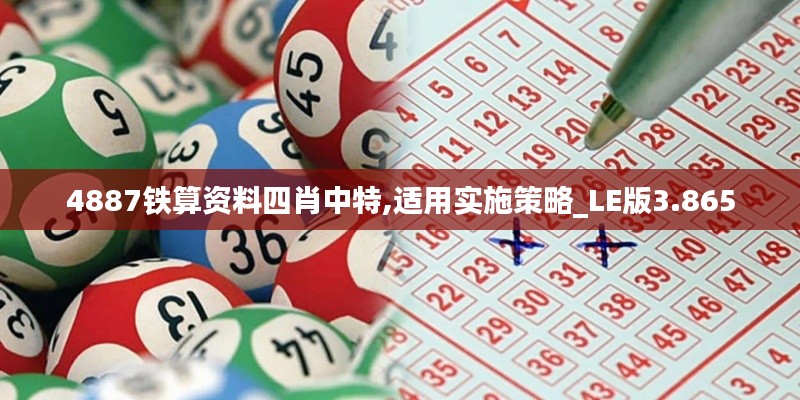 4887铁算资料四肖中特,适用实施策略_LE版3.865