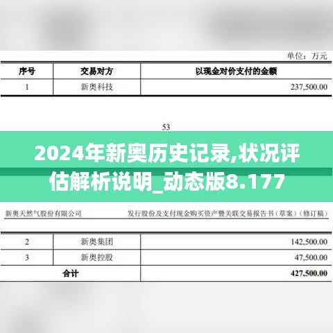 2024年新奥历史记录,状况评估解析说明_动态版8.177