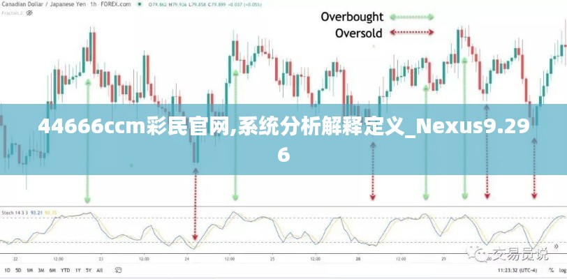 44666ccm彩民官网,系统分析解释定义_Nexus9.296