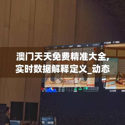 澳门天天免费精准大全,实时数据解释定义_动态版1.129