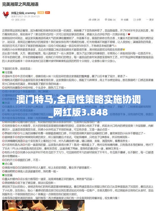 澳门特马,全局性策略实施协调_网红版3.848