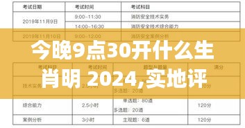 今晚9点30开什么生肖明 2024,实地评估解析说明_nShop3.907